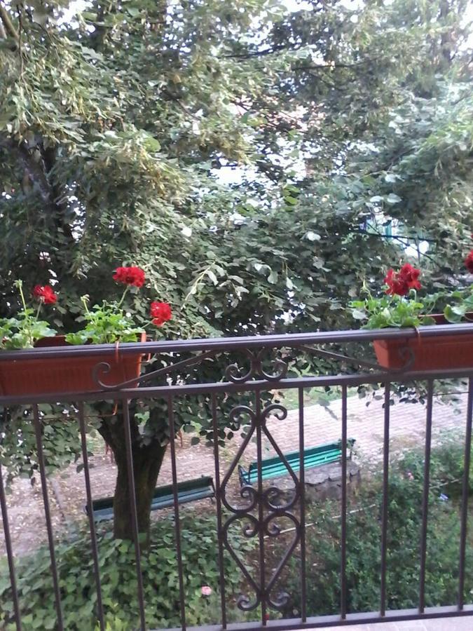 Apartments Olga Virpazar Bagian luar foto