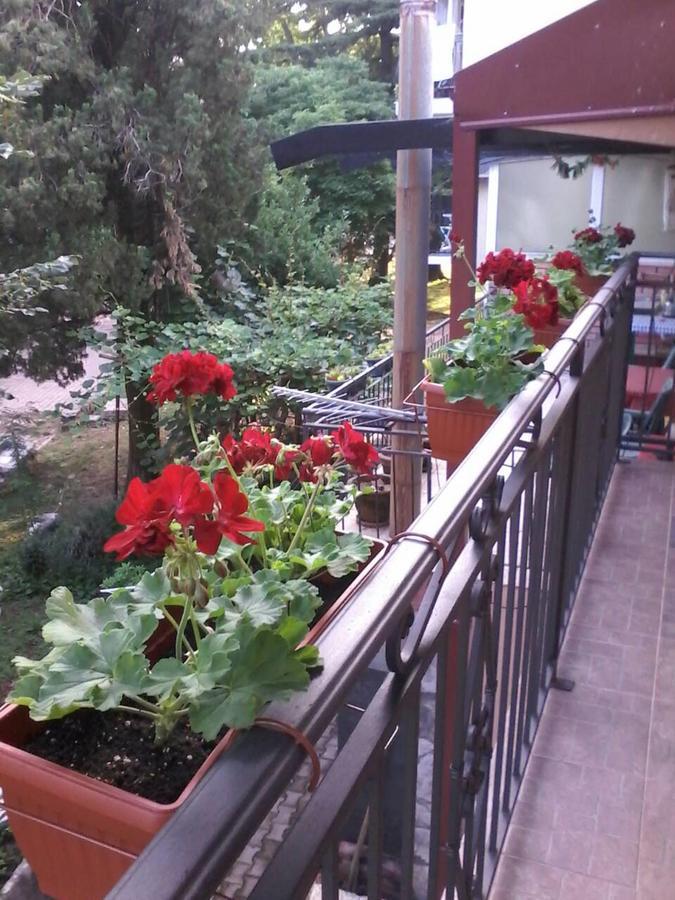 Apartments Olga Virpazar Bagian luar foto